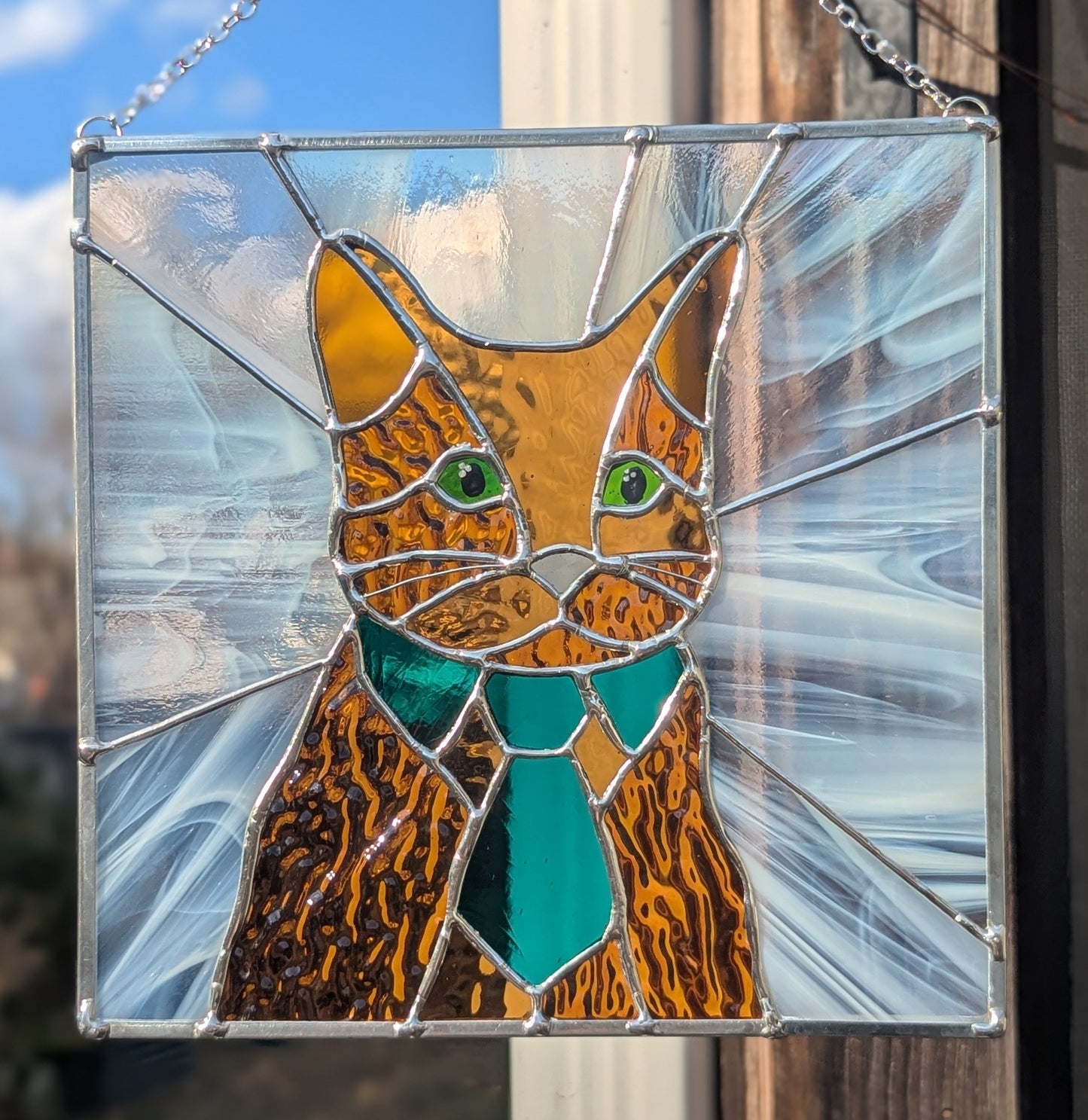 Bartholo-Mew the Business Cat