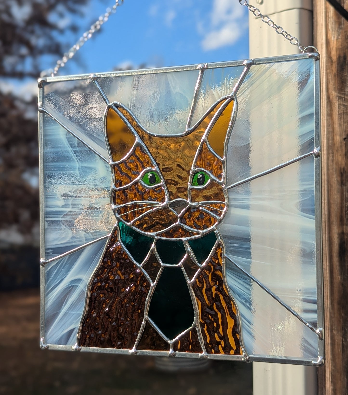 Bartholo-Mew the Business Cat