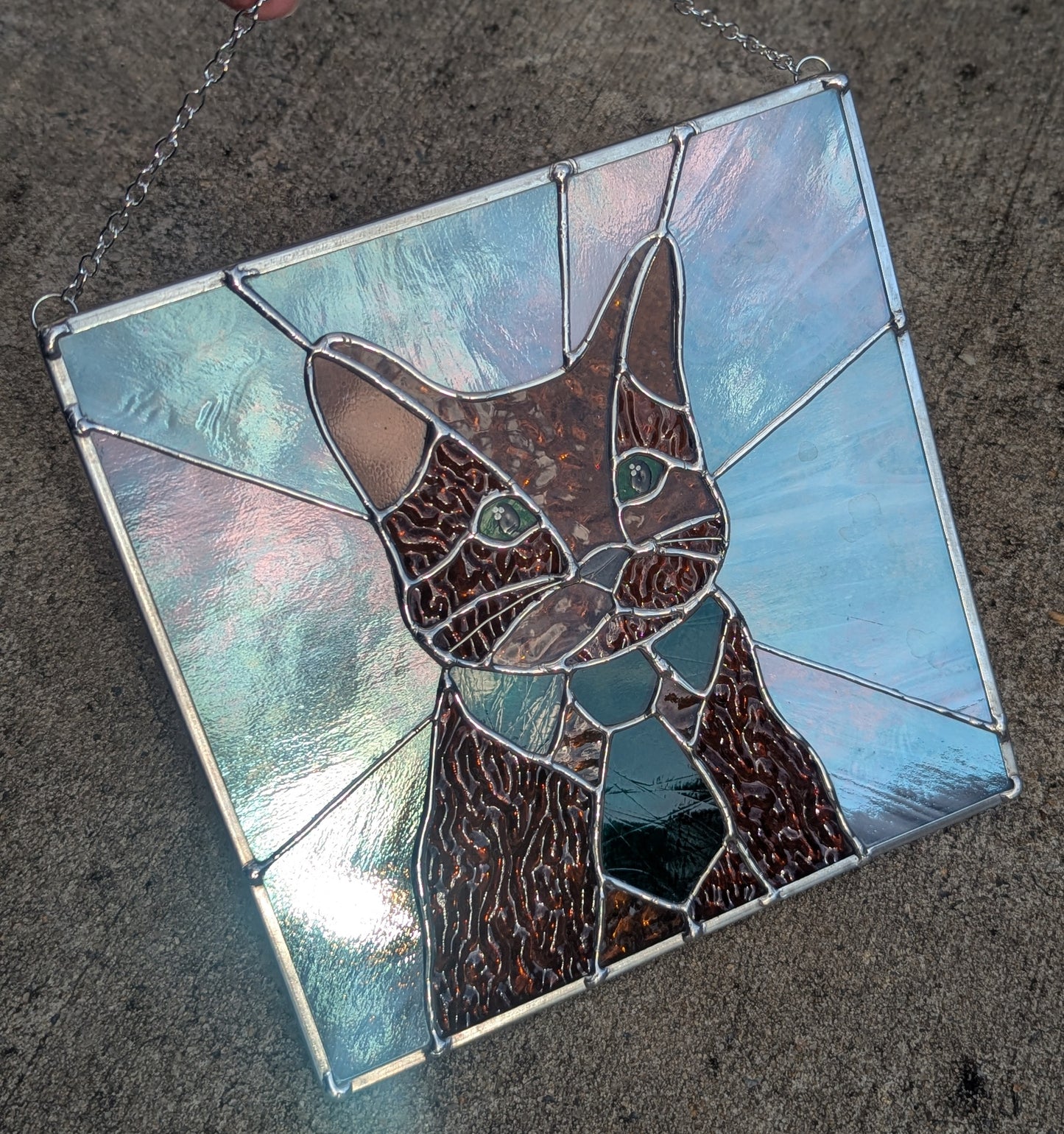 Bartholo-Mew the Business Cat