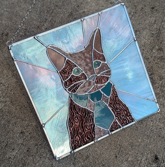 Bartholo-Mew the Business Cat