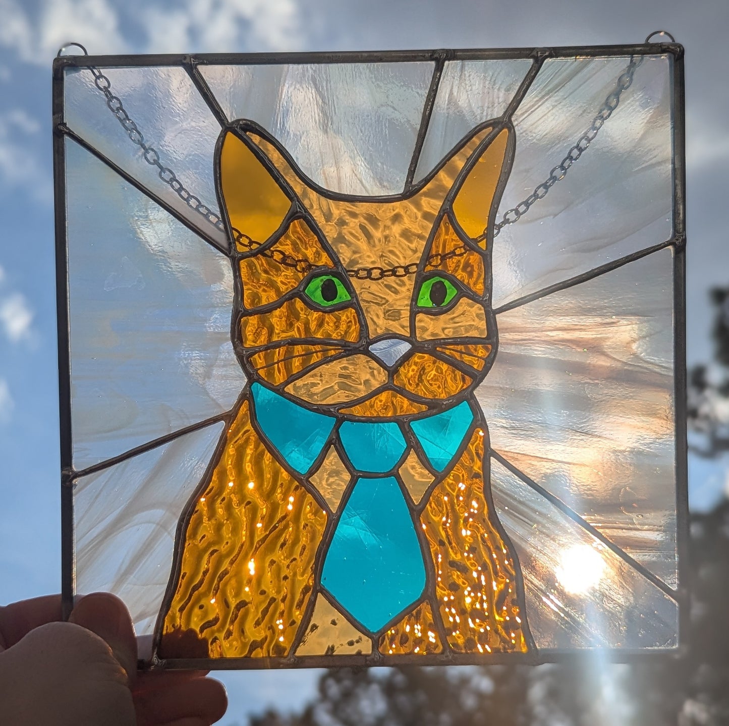 Bartholo-Mew the Business Cat