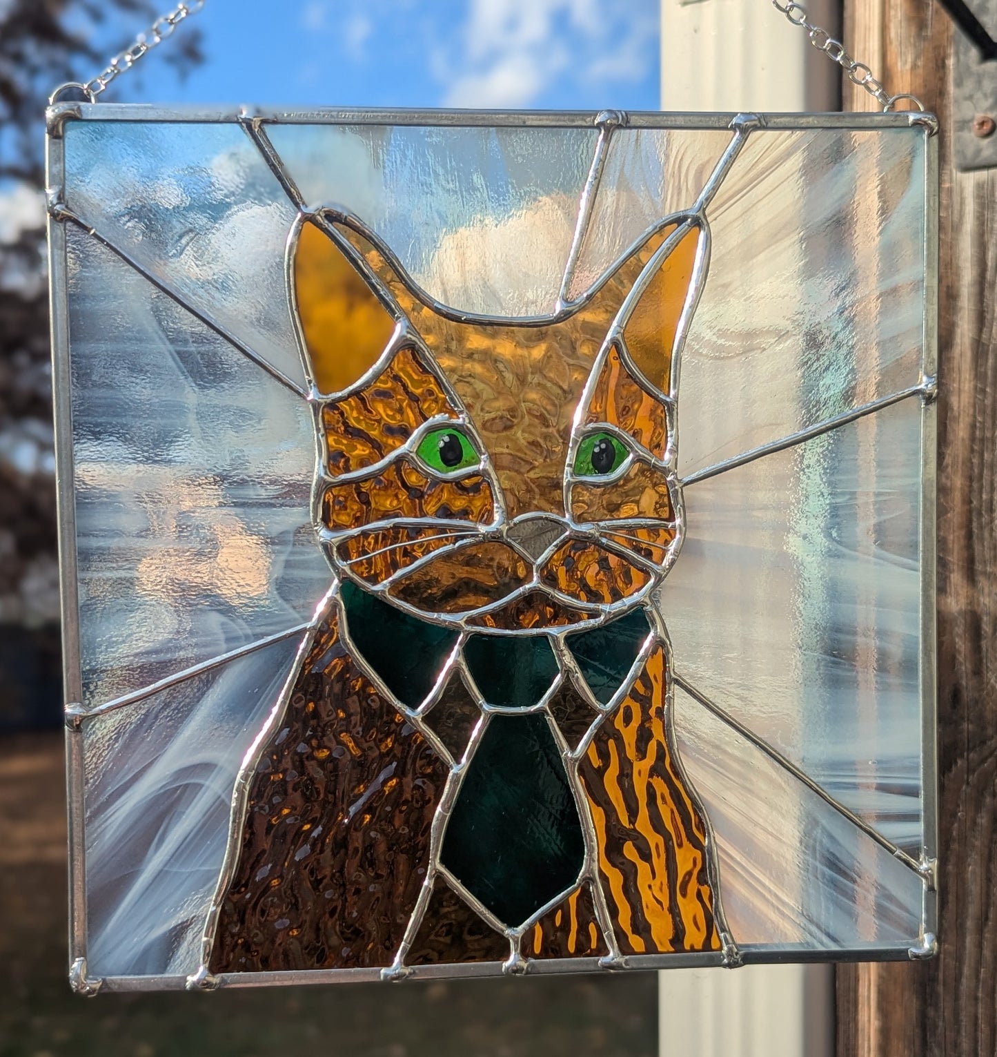 Bartholo-Mew the Business Cat