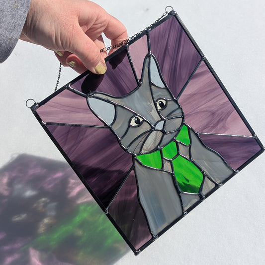 Bartholo-Mew the Business Cat