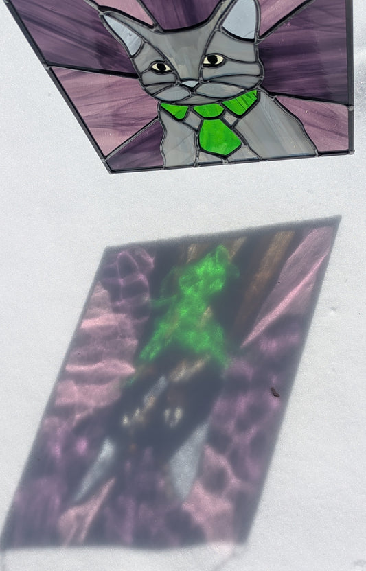 Bartholo-Mew the Business Cat