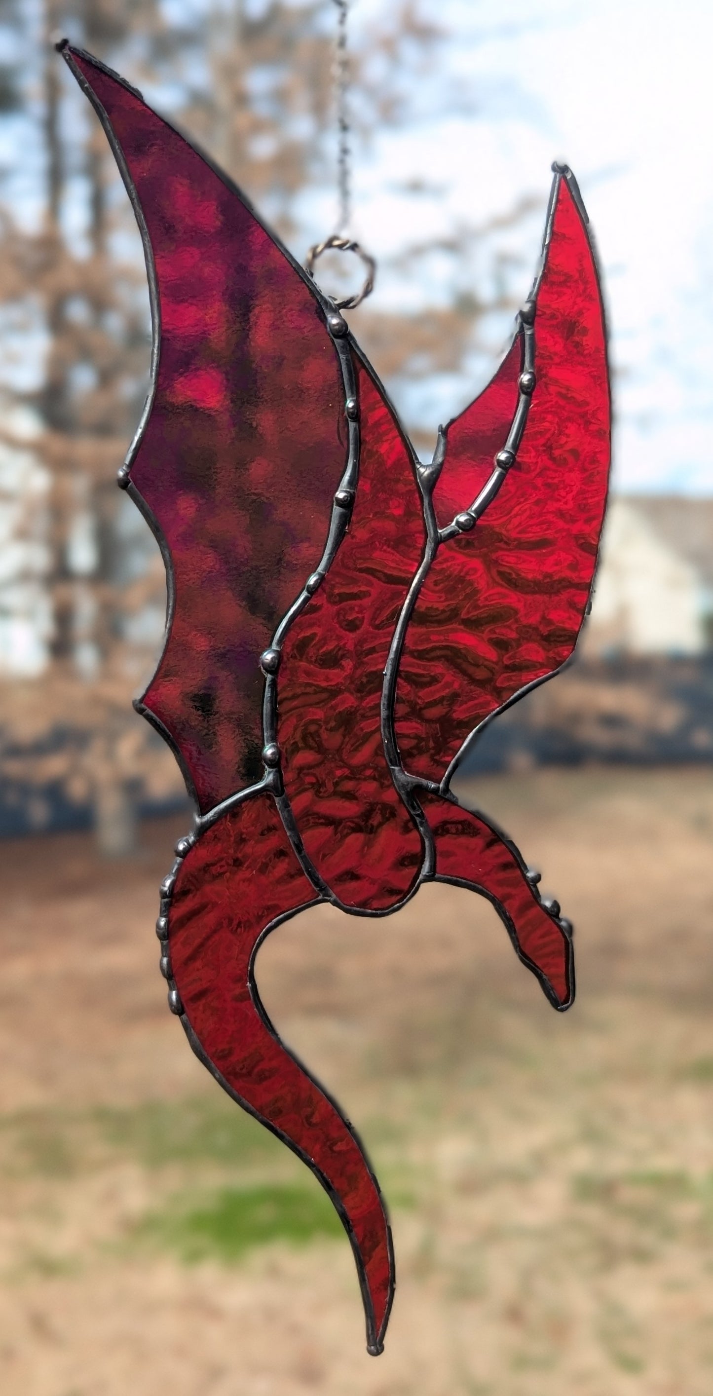 Blood Red Blue Amphitere